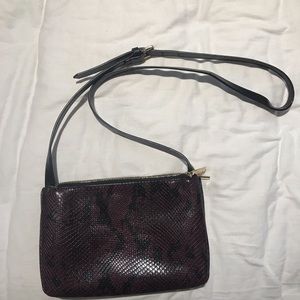 Zara crossbody purse